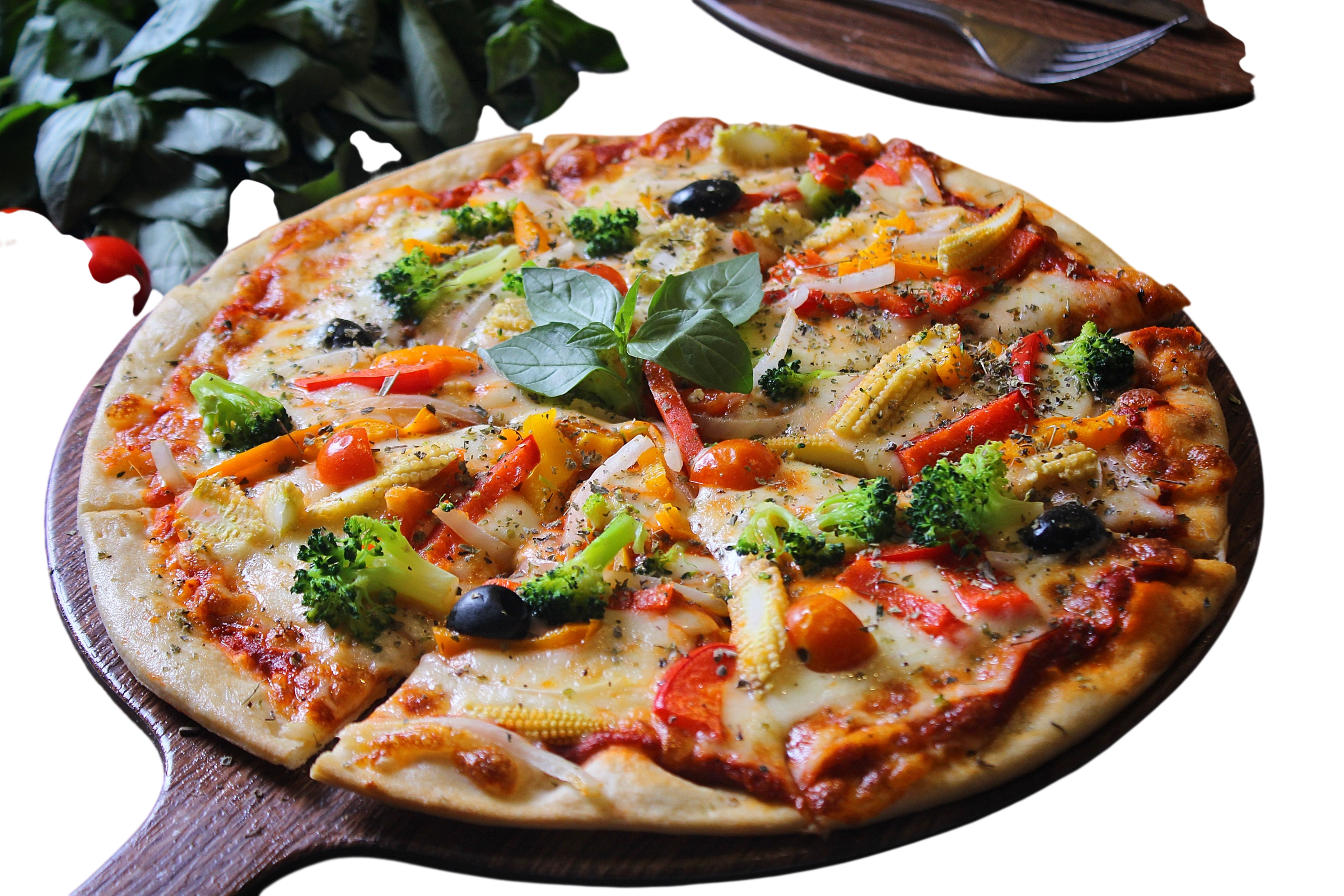 Vegetarian Pizza